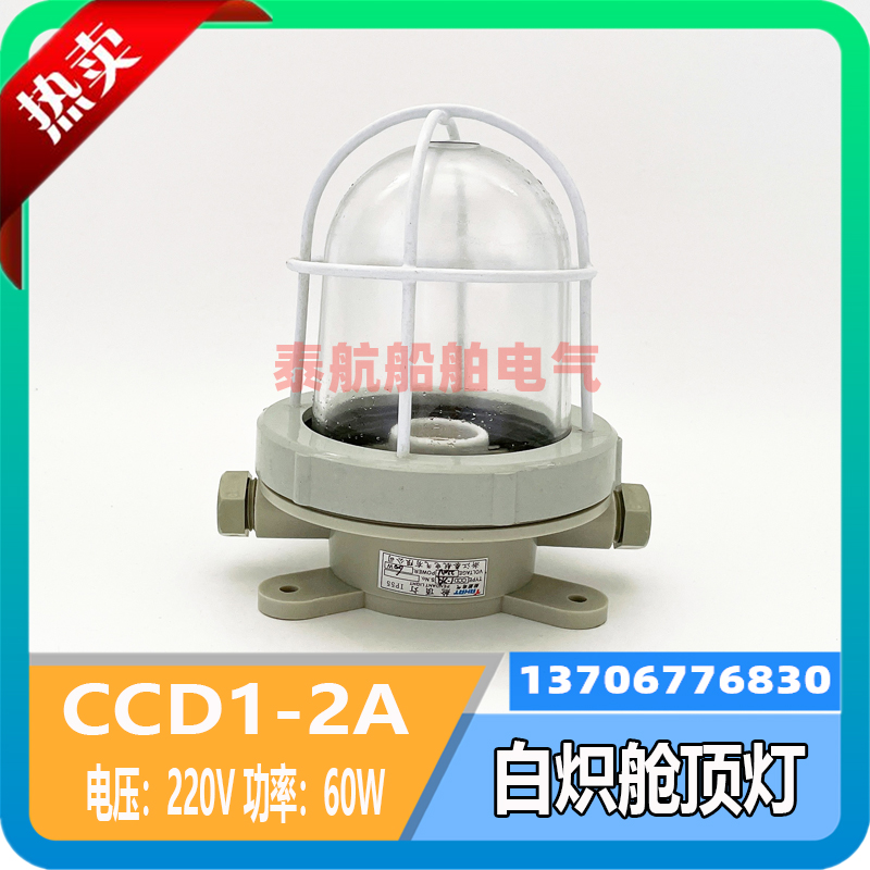 Thai Airways marine iron mesh cover plastic incandescent cabin ceiling light CCD1-2A deck cabin light 220V60W waterproof IP56