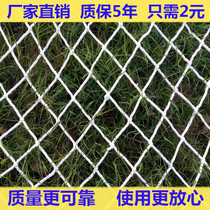 Nylon Net Stair Protection Net Child Safety Net Clothes Net Car Sealing Net Fall Prevention Net Seine Color Net