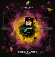 Сладкий разговор о цветочной розе