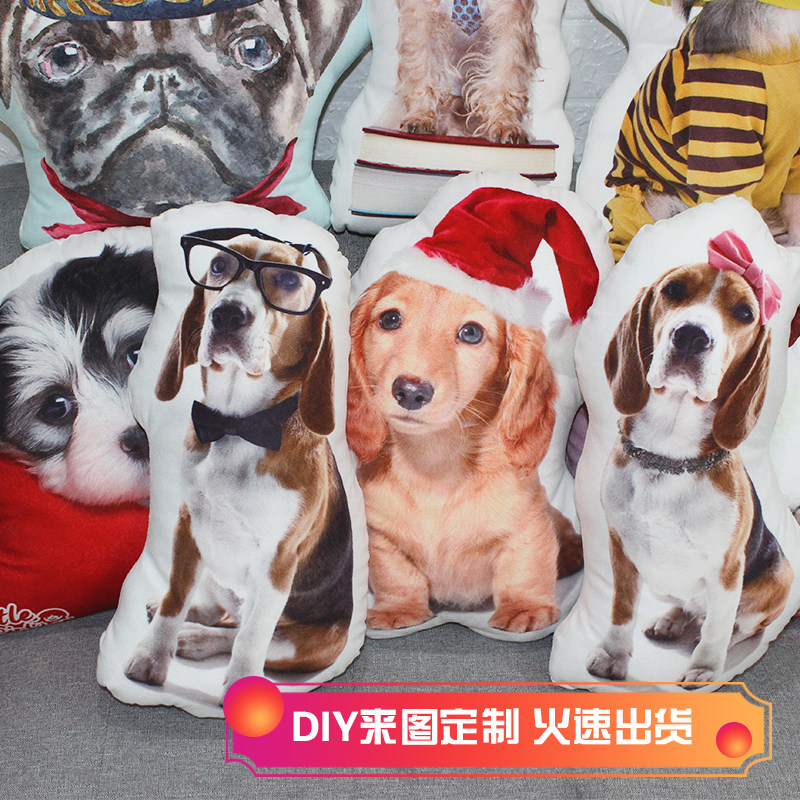 Cute kitty dog to figure custom Alien pillow DIY gift cushions 3D photo set to lean on pillowy waist pillow