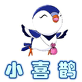 小喜鹊幼教企业店