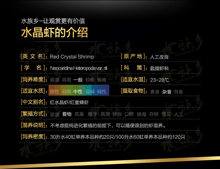 [ 黑白水晶虾-07.jpg]