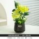 RS Black Vase Green Rose