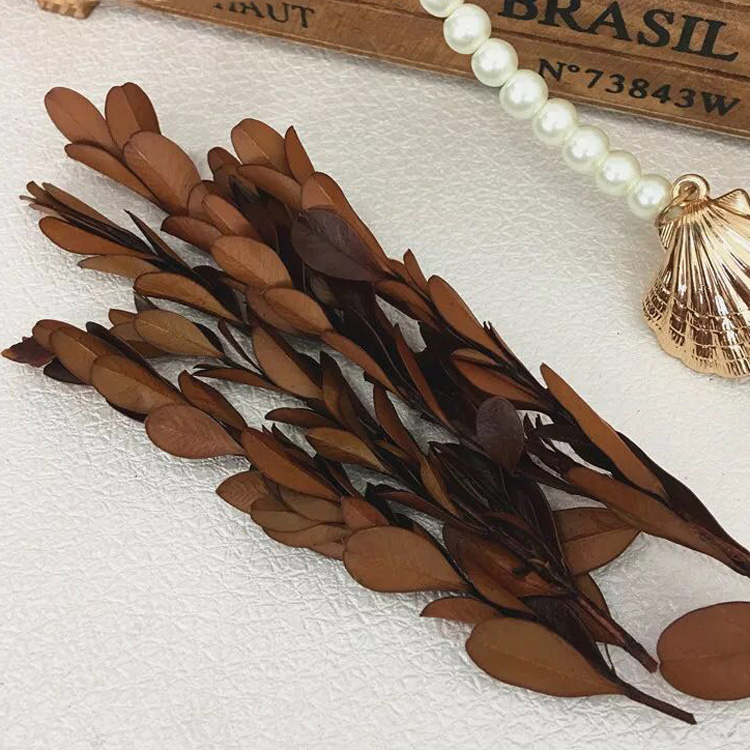 Hoa vĩnh cửu với chất liệu hoa cỏ thùy lá cây hoàng hôn cô dâu hoa khô phụ kiện hoa handmade - Phụ kiện tóc kẹp phồng chân tóc