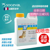 TH4宠物消毒液猫狗专用抗菌家用消毒猫瘟犬瘟细小500ML浓缩原液