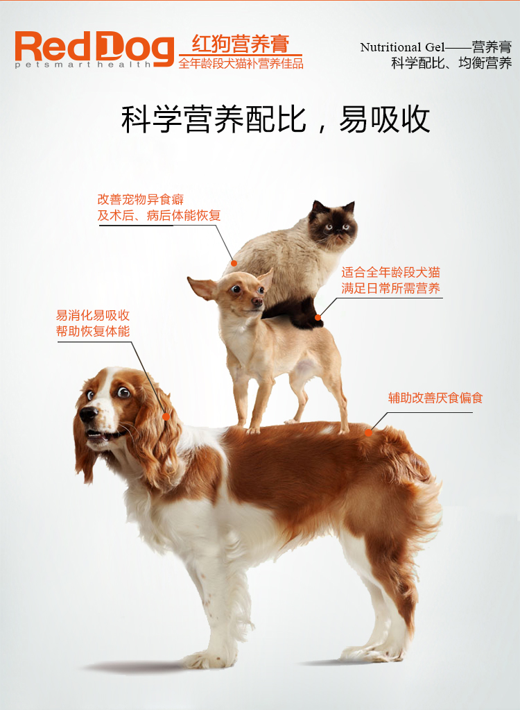 Con chó màu đỏ kem dinh dưỡng 120 gam Jin Mao Teddy dog ​​dinh dưỡng puppies mèo tốc độ bổ sung dinh dưỡng pet sản phẩm sức khỏe sữa bột cho chó