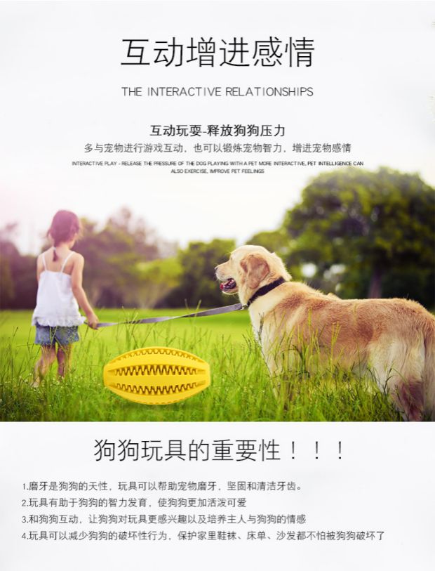 Inspire pet toy cat dog ball cắn out toy bear cắn dog teddy tóc vàng đồ chơi răng đồ chơi bóng do choi cho cho