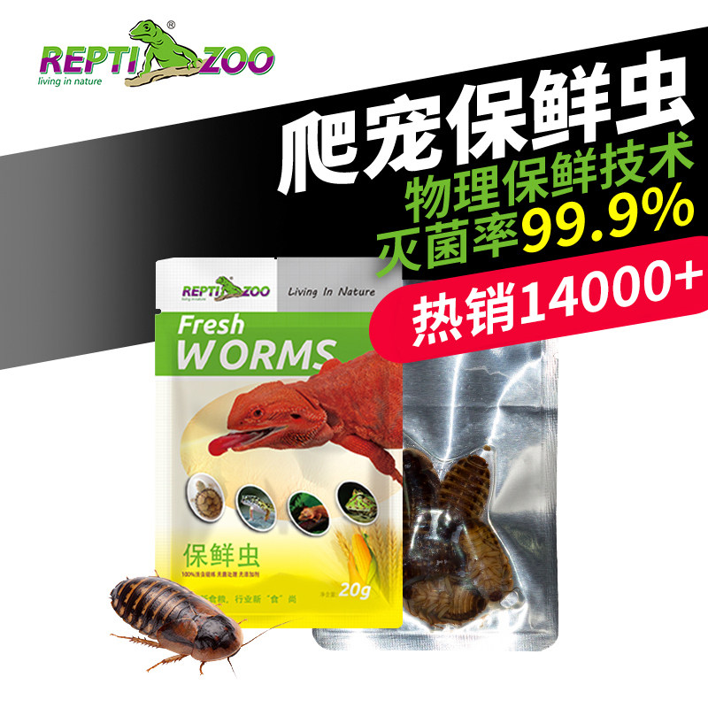 New pet Fresh bread worm Dolby Asian Cockroach Barley worm Grasshopper Reptile Palace guard Chameleon Lizard Feed