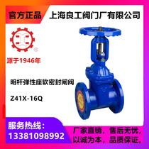 Shanghai Lianggong Valve Open Rod Elastic Seat Soft Seal Gate Valve Z41X-16Q DN50 80 100 150 200