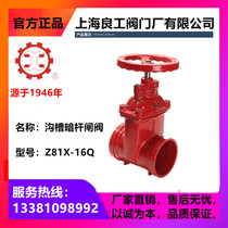 Shanghai Lianggong Valve Groove Dark Rod Gate Valve Z81X-16Q DN50 65 80 100 150