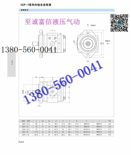 Китайская жидкая жидкость Hoyea 1GP-8-8 Внутреннее сетчатое насос 1GP-10 1GP-6.3