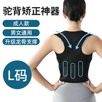 [Обновите три киле-поддержку] Код Black-Adult L (подходит для 121-146 кот)