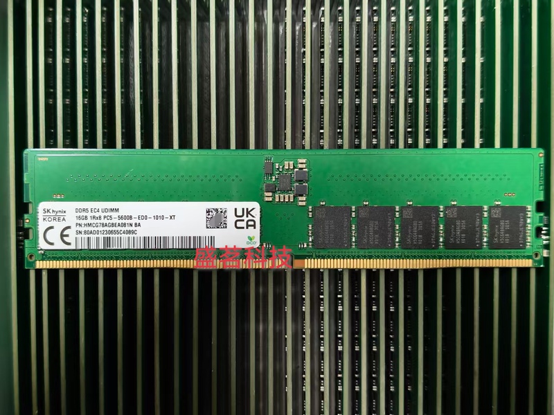 Sk Hmcg78Agbea081N Aa 16g 1Rx8 Pc5-5600B-Ed0 Ecc Server Memory