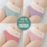 Группа A-Green+Taro Purple+Brick Red+Pink [4 Установка хлопковых моделей с высокой талией]