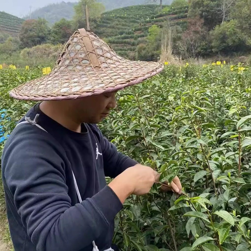 黄兴堂茶业的LOGO