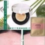 Nhạy cảm cơ bắp đậu nành sử dụng VT Fante CICA Centella cỏ Tiger cushion BB cream Kem che khuyết điểm Làm sáng kem nền che khuyết điểm hàn quốc