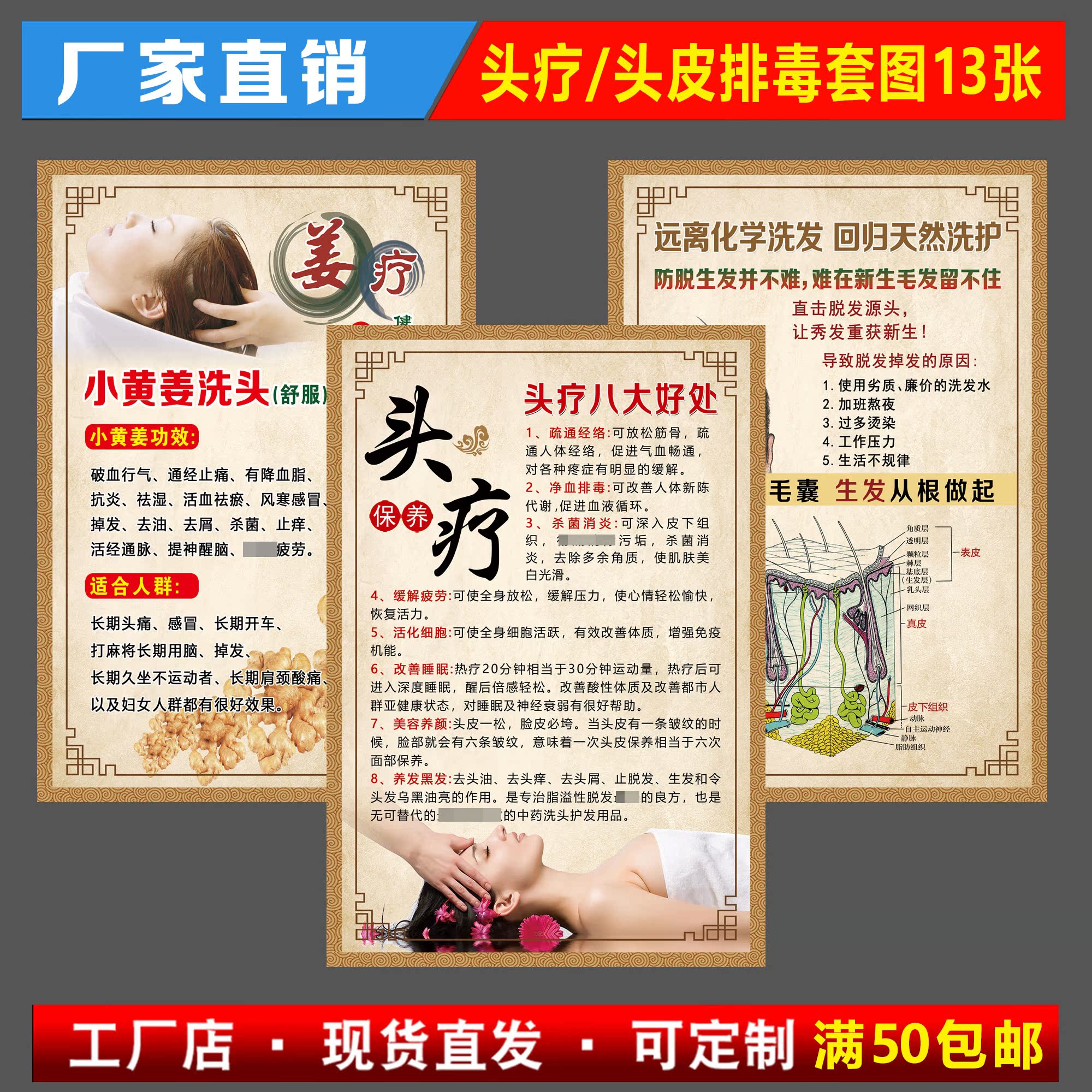 頭療養生海報頭皮排毒宣傳畫姜療養髮生髪牆貼畫毛髮結構圖片kt板