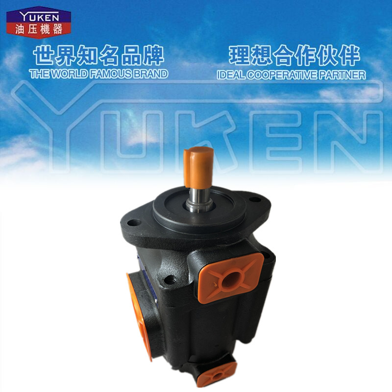 Pfed-43 Yuci Hydraulic Double Vane Pump Pfed-43085/070/016/028/044/022 Tzyy