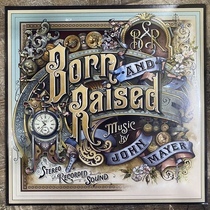 Spot John Mayer Born and Raised vinyl record 2LP CD