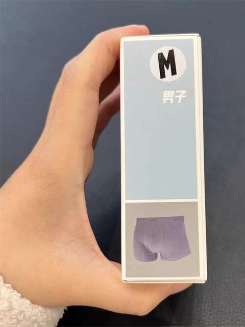 Anta Sports Underwear for Men 192458972 Daily Sports Boxer Briefs Viscose High Quality Soft