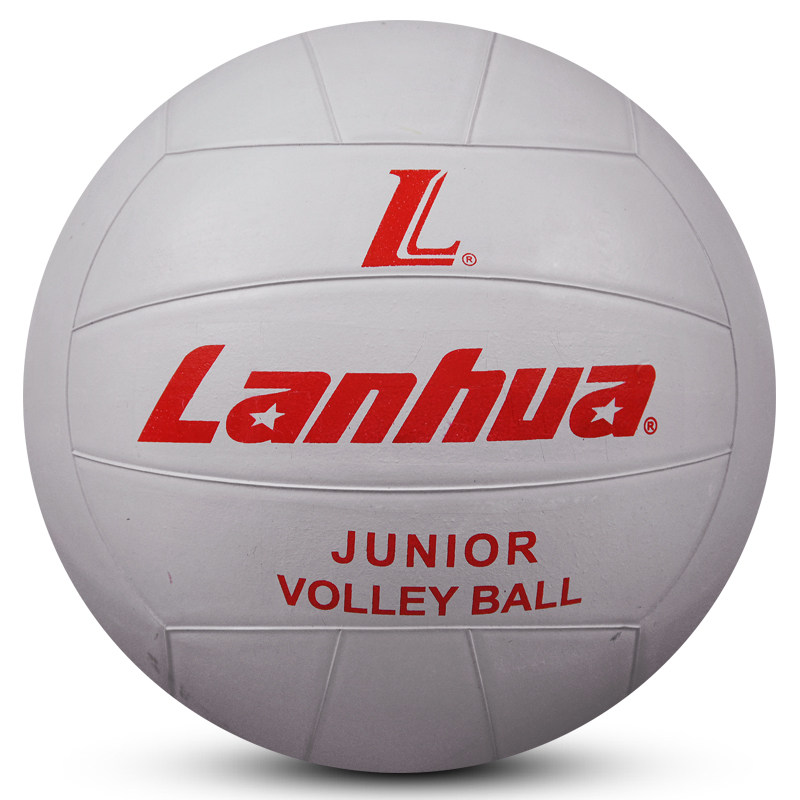Ballon de volley-ball - Ref 2012412 Image 3
