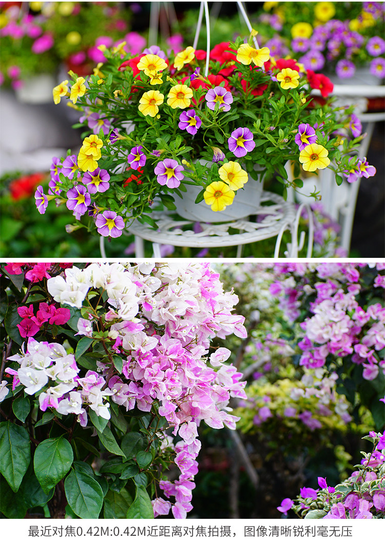 Kaxinda:35mmf1.2 портрет слегка один фиксированное фокусное расстояние Большой апертура вручную объектив NEXFX 