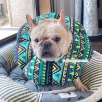 Small eyes Family pet Pink yellow petal anti-licking ring Peach anti-biting Elizabeth dog Cat headgear