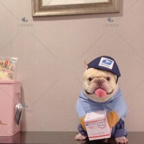 Little eyes pet transformation funny express clothing