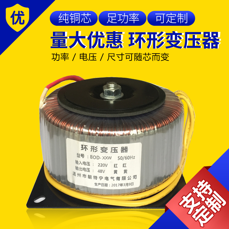 380V220V to 12V24V36V48V100V110V220V amplifier toroidal transformer ring cow isolation power supply