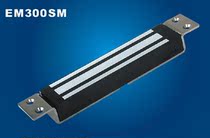 ELEMEM300SM peoples baby obsessed with your type concealed magnetic magnetic lock electronic lock access lock