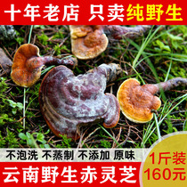 Yunnan pure wild Ganoderma lucidum a pound of premium red ganoderma lucidum whole dried Nyingchi red Ganoderma lucidum slice grinding powder