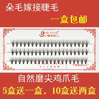 Ghép lông mi giả tự nhiên, tóc ghép riêng, cụm cây đơn, trồng lông mi, chồn giả nước keo gắn mi