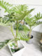Nordic Style Artificial Spring Taro Leaf Plant with Pot, 130cm High, Realistic Simulation, Floor-Standing Potted Plant for Garden Landscape Decoration