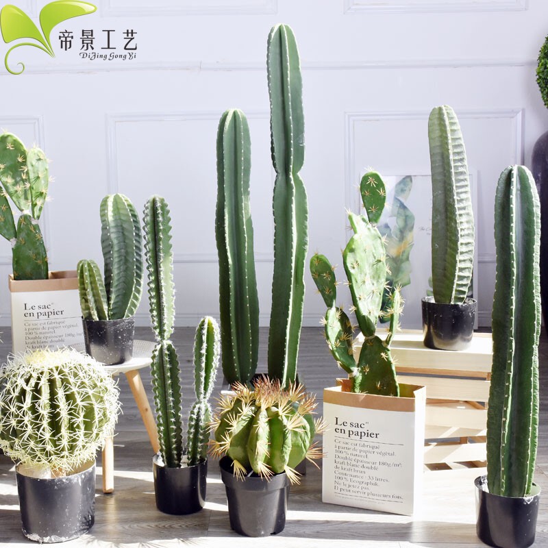 Nordic Decorative Green Plants, Various Types of Cacti and Monstera Combination for Garden, Home, Window Display, and Floor-Standing Bonsai
