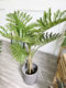 Nordic Style Artificial Spring Taro Leaf Plant with Pot, 130cm High, Realistic Simulation, Floor-Standing Potted Plant for Garden Landscape Decoration