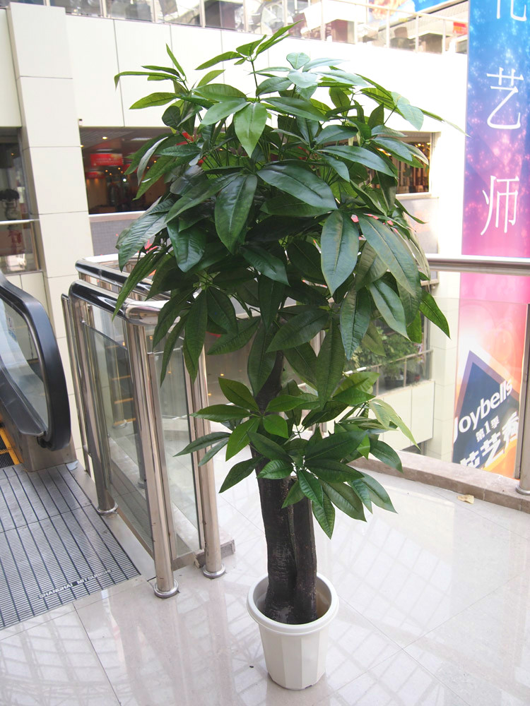 Simulation of fake tree green plant floor-to-ceiling living room New ancient tree-type rich tree decoration floral floor-to-ceiling home