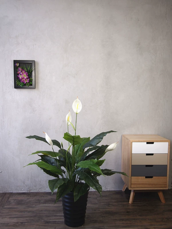 Đặc biệt cung cấp bưu chính mô phỏng cây giả trang trí cây 80cm keo trắng cọ bonsai phòng khách cửa sổ tầng hoa - Hoa nhân tạo / Cây / Trái cây