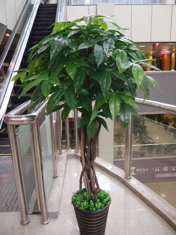 Free Shipping Artificial Multi-Stem Plant Fake Money Tree 1.7m Floor-Standing Decorative Flowers for Window Display and Living Room Arrangement Free Shipping Artificial Multi-Stem Plant Fake Money Tree 1.7m Floor-Standing Decorative Flowers for Window Display and Living Room Arrangement