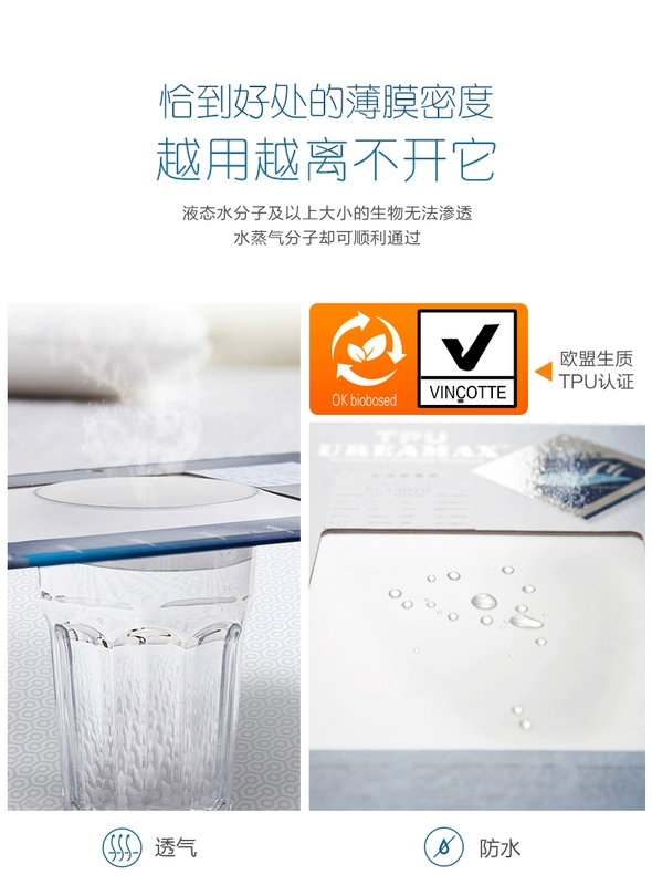 Giường ngủ không thấm nước một mảnh cotton 1,8m Simmons nệm bông bảo vệ thấm thấm khí trải giường chống bụi ga trải giường chun đẹp	