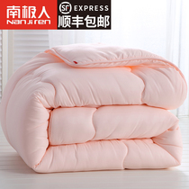 Antarctic quilt winter thickened warm air conditioning cotton quilt spring and autumn single student dormitory winter silk cotton quilt core