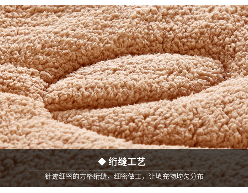 Nam Cực cashmere giả gấp nệm nệm đơn quý tầng trệt đôi 1.5 / 1.8m m phụ Nệm - Nệm đệm lò xo