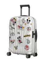 Новый фонд двойного списка Микки