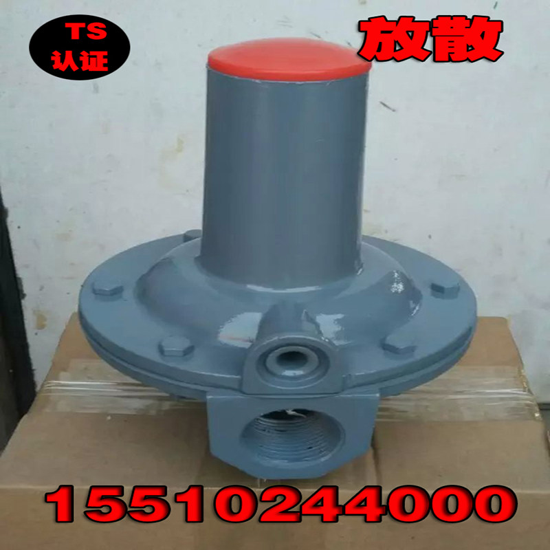 R natural gas overpressure relief valve medium pressure gas liquefied gas safety valve RAF type factory direct sales