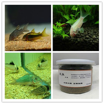 Rat Fish Feed Pearl Rat White Rat Coffee Rat Fish Food Pepper Mouse Panda Rat Golden Thread Rat Sinkhole Bottoming Rat Fish Fish Grain