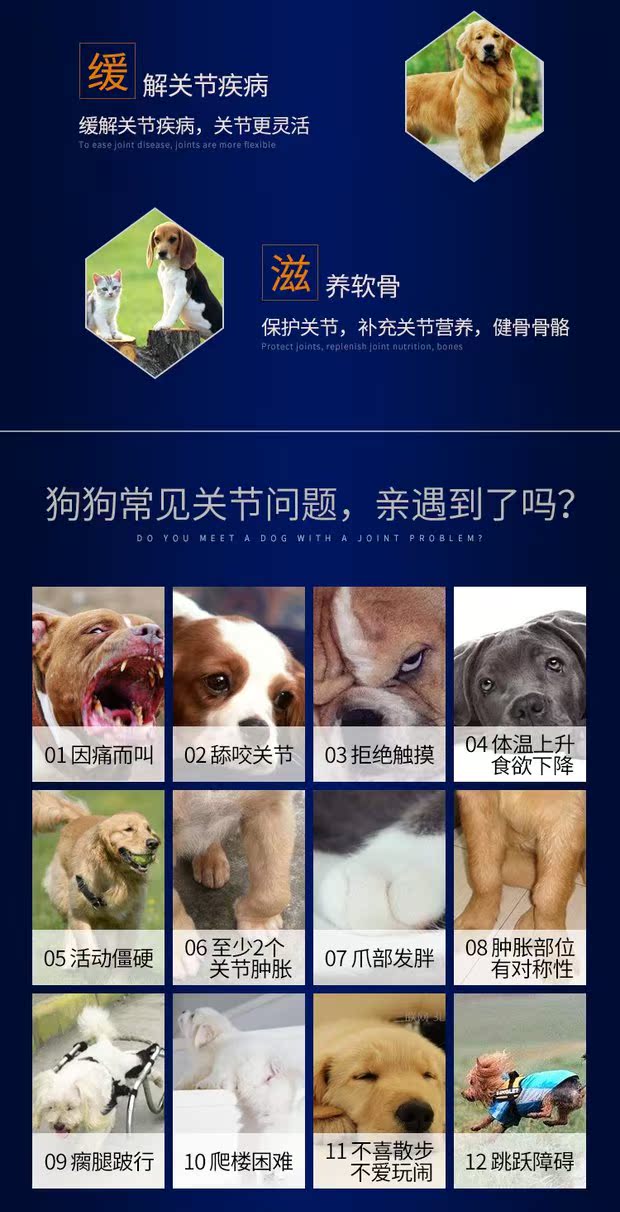 Modi khớp, chó kho báu, khớp mèo, chondroitin, thuốc khớp, sức khỏe khớp, xương chắc khỏe, chăm sóc thú cưng - Cat / Dog Health bổ sung sữa cho mèo con mất mẹ