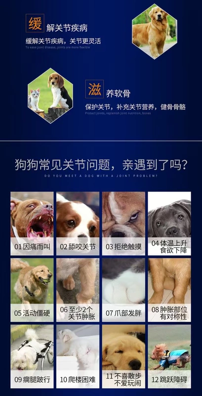 Modi khớp, chó kho báu, khớp mèo, chondroitin, thuốc khớp, sức khỏe khớp, xương chắc khỏe, chăm sóc thú cưng - Cat / Dog Health bổ sung sữa cho chó mẹ sau sinh