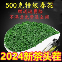 2024 New Tea Special Grade Rizhao Green Tea Spring Tea Chestnut Tonka Bean Fragrance Fried Green Resistant Soaking 500g Strong Fragrance Bulk