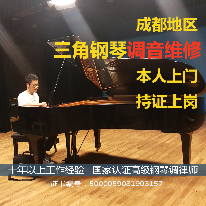 Chengdu professional grand piano tuning and repairing noise and string replacement