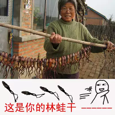 Little Tiezhu Ge Jilin Changbai Mountain subspecies Forest frog dry snow toad dry toad dry 10 grams direct sales