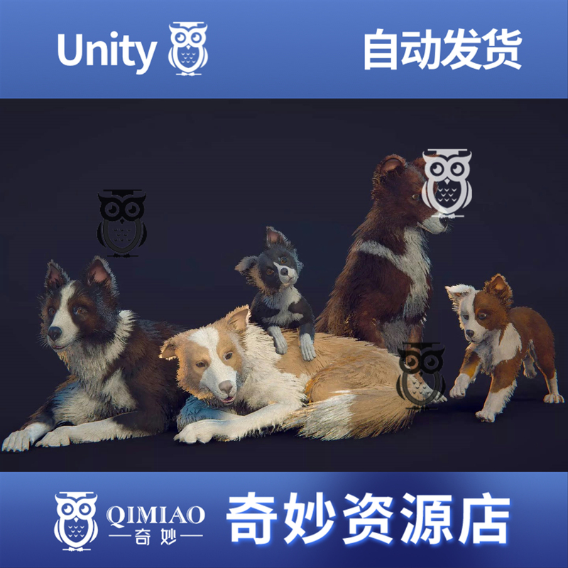 Unity Skye the Border Collie (Dog) 1.1